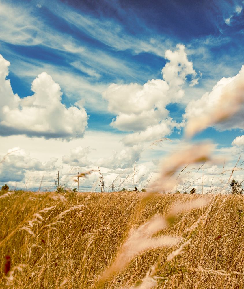 Photograph by Елена (Мори) Кузнецова