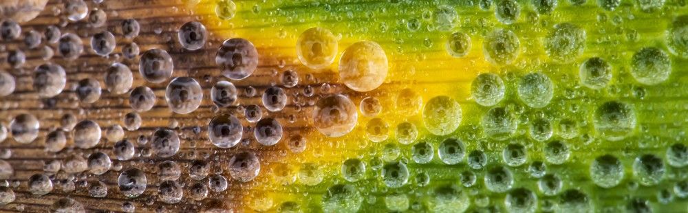 Photograph by stefanini alexis