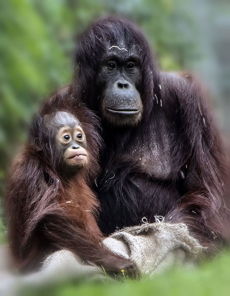 Фотография автора Александр
