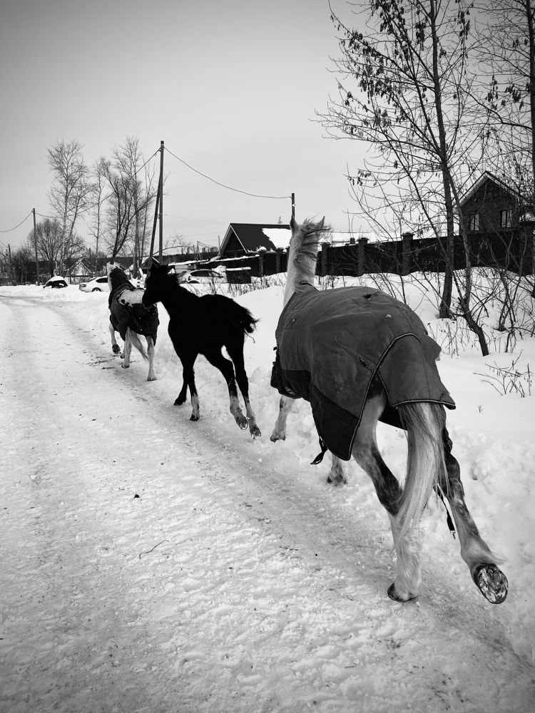 Фотография автора Татьяна Перминова