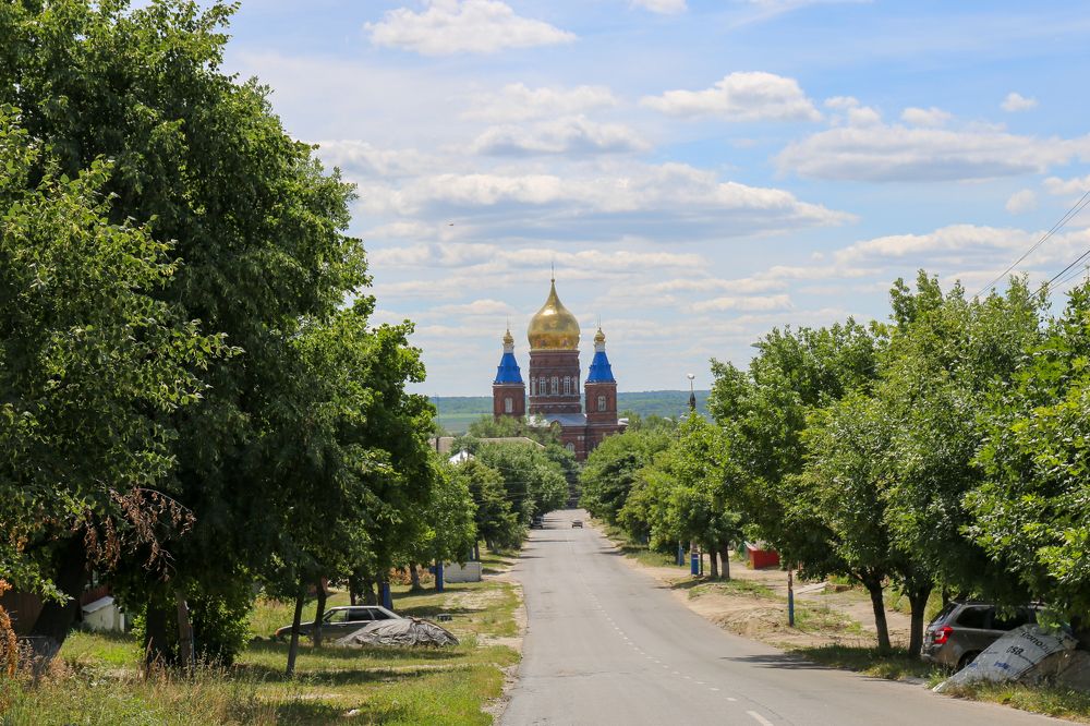 Фотография автора 