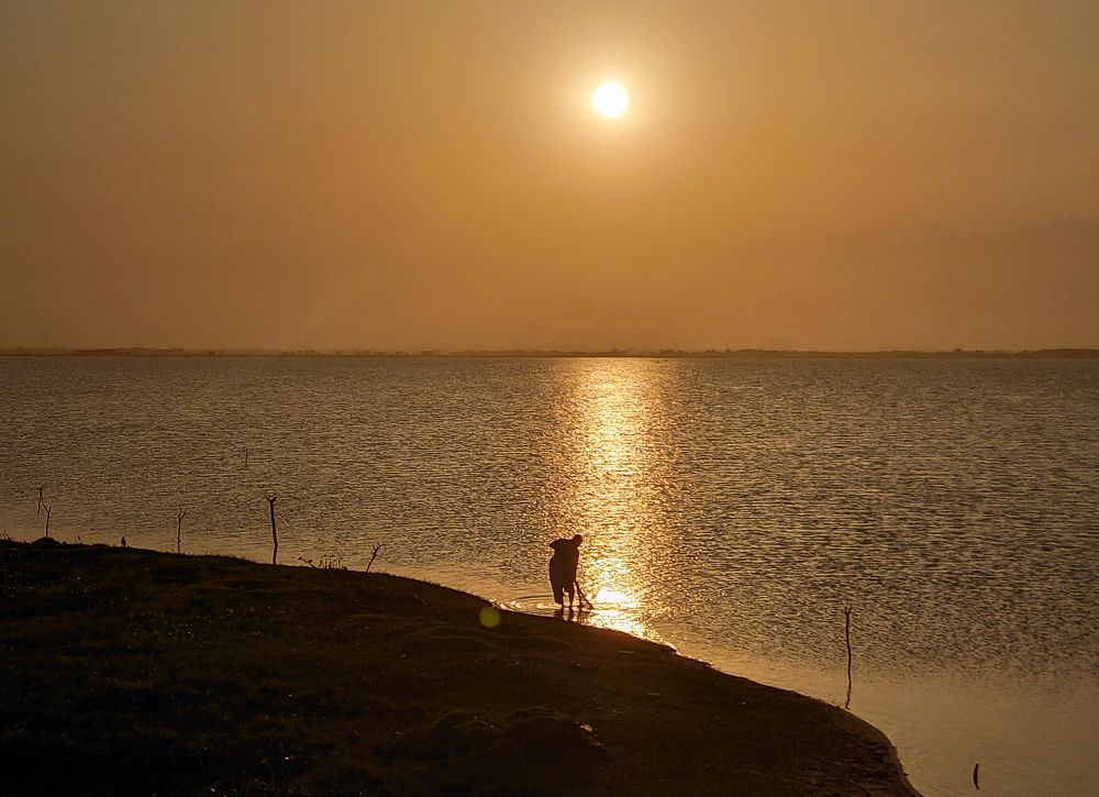 Photograph by K.AKILA NIDUSH