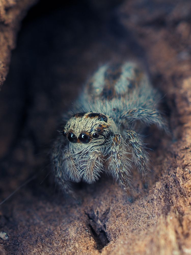 Photograph by Юрий Говорков