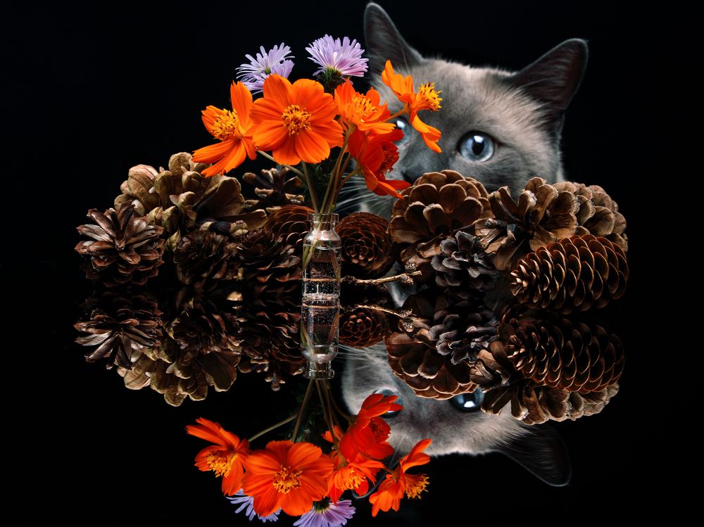 Photograph by Evgeniy Savikov