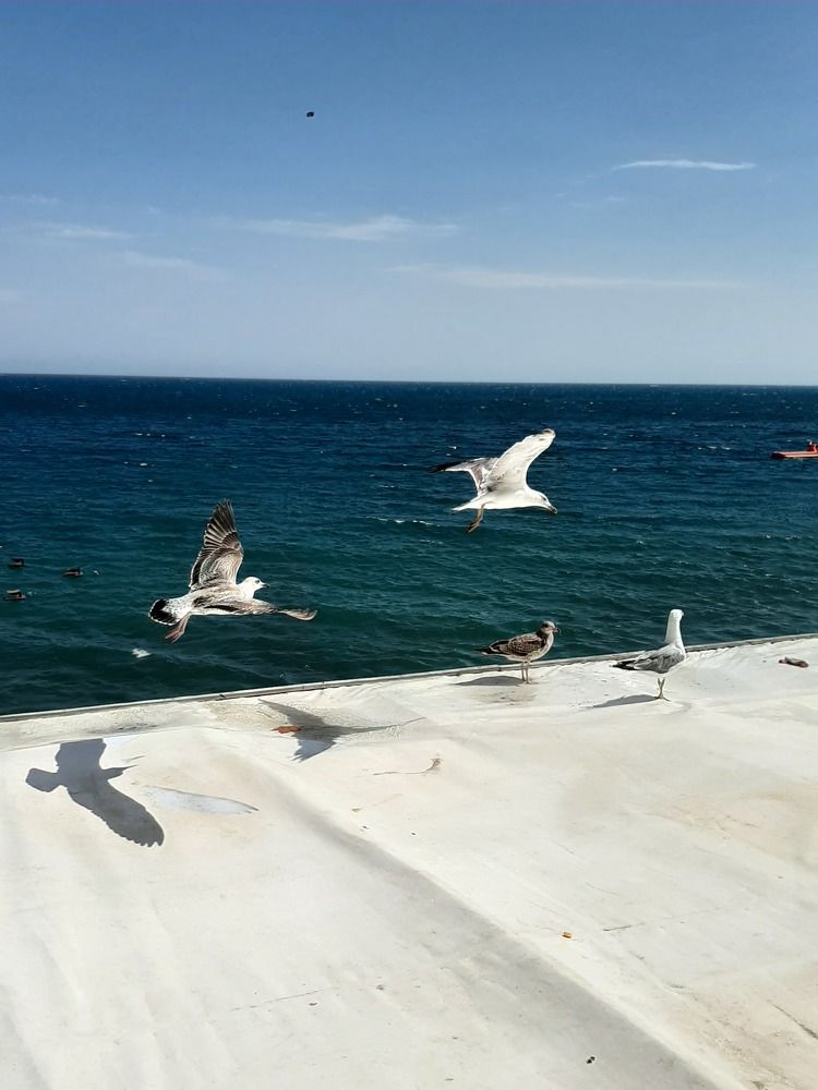 Photograph by Ирина