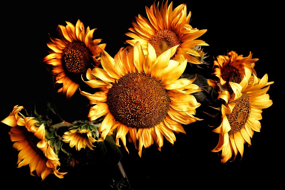 Photograph by Михаил Зорин