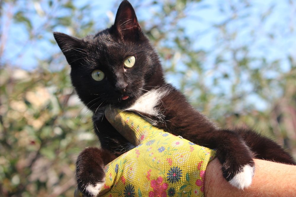 Photograph by Игорь Быков