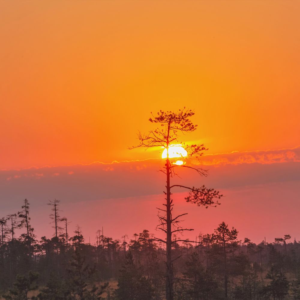 Photograph by Александр Литвинов