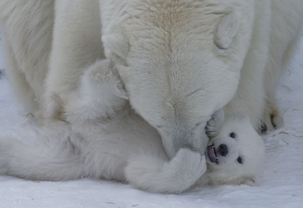 Photograph by Михаил Измайлов