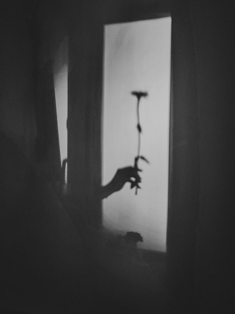 Photograph by Elena Kilina