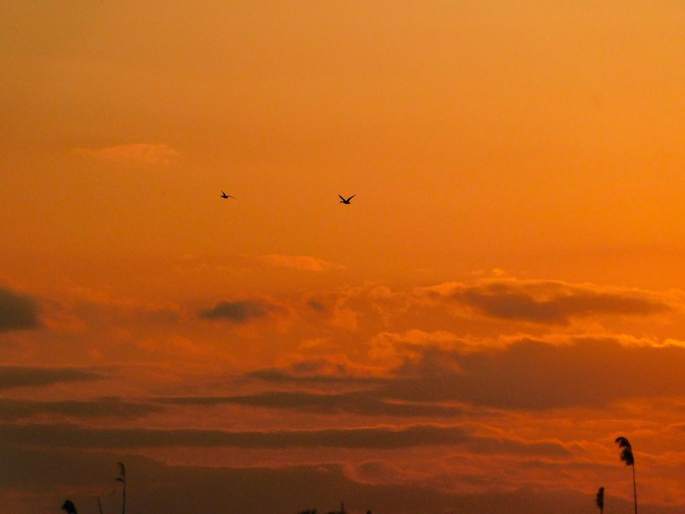 Photograph by Юлия Закопайло