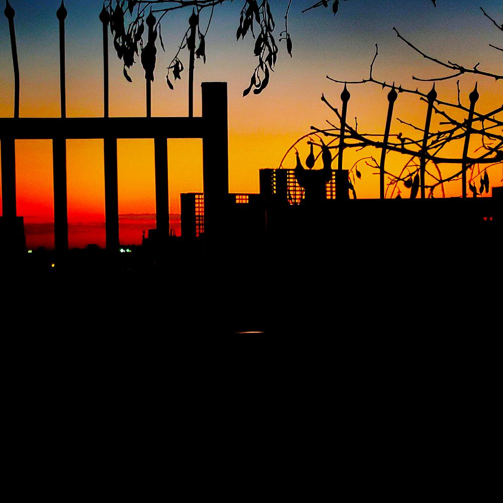 Photograph by mahdi roozbahani