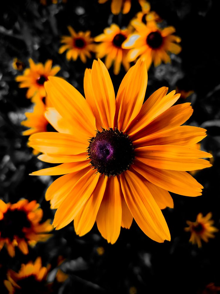 Photograph by mahdi roozbahani