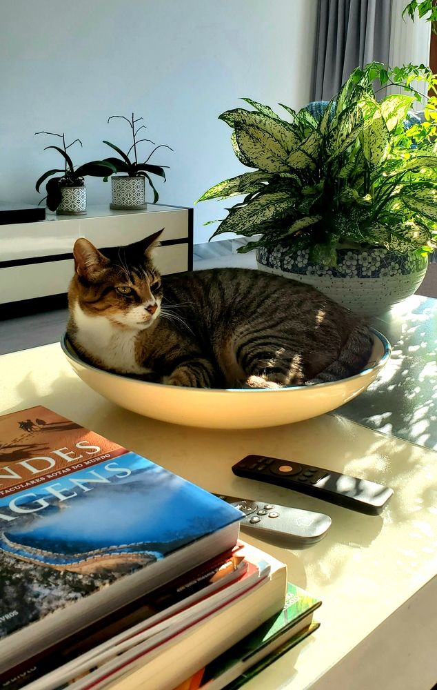 Photograph by ADRIANA DE CARVALHO