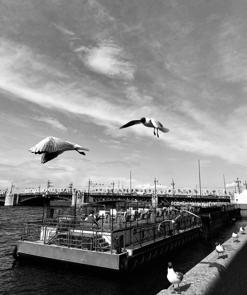 Фотография автора Татьяна Перминова