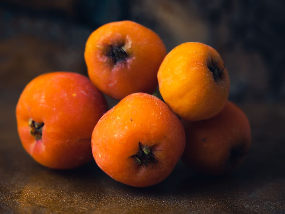 Photograph by Юрий Говорков