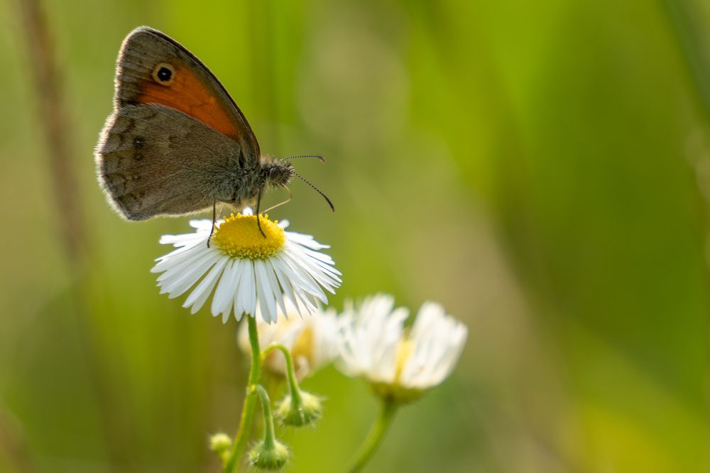 Photograph by Дмитрий Цикин