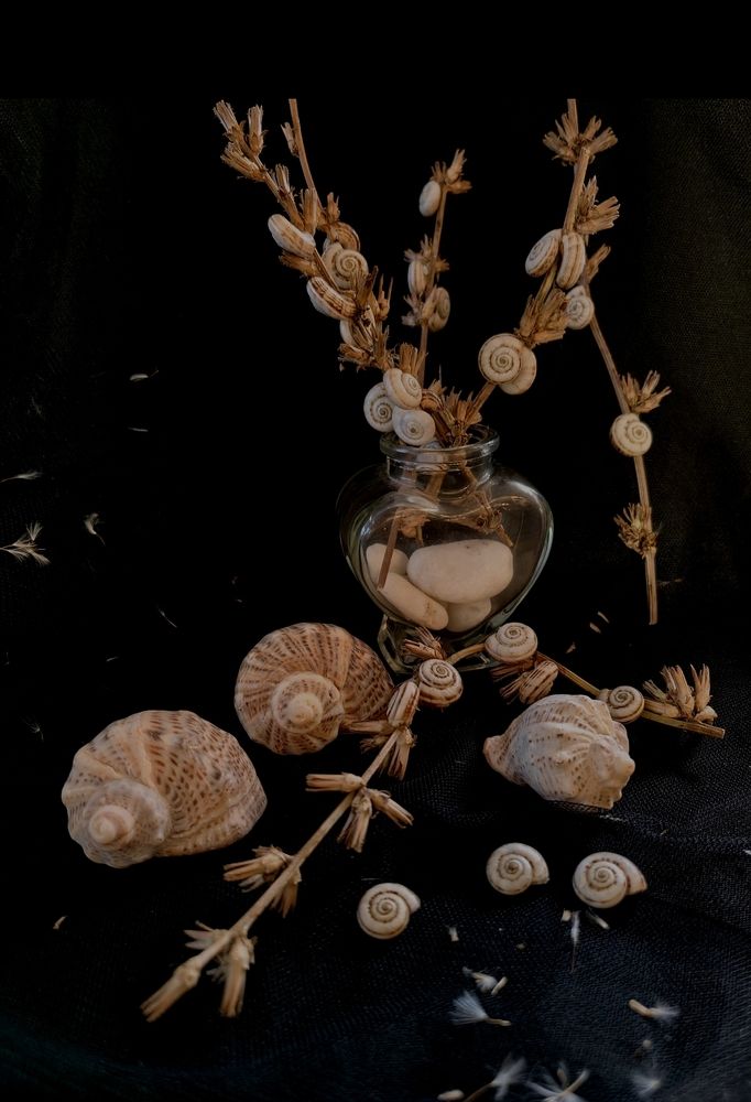 Photograph by Ирина Тихая