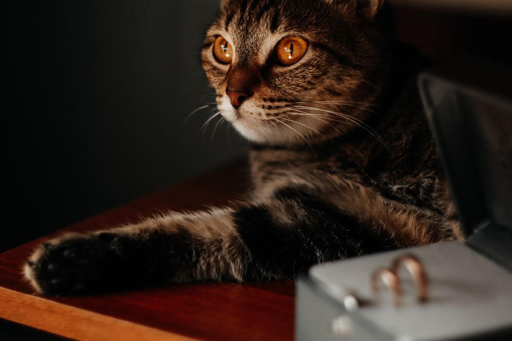 Photograph by Elena Kilina