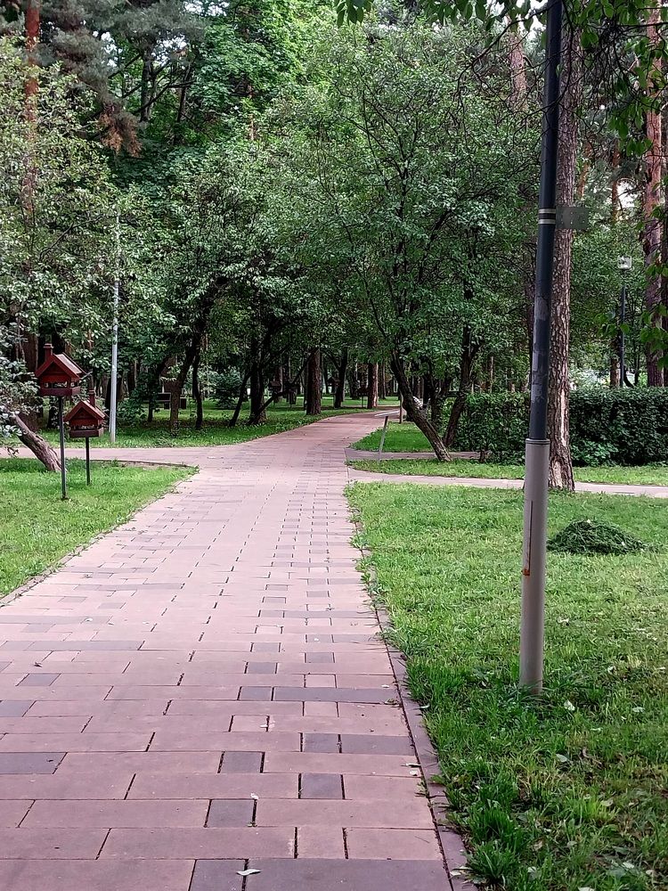 Photograph by Анна Авилочкина