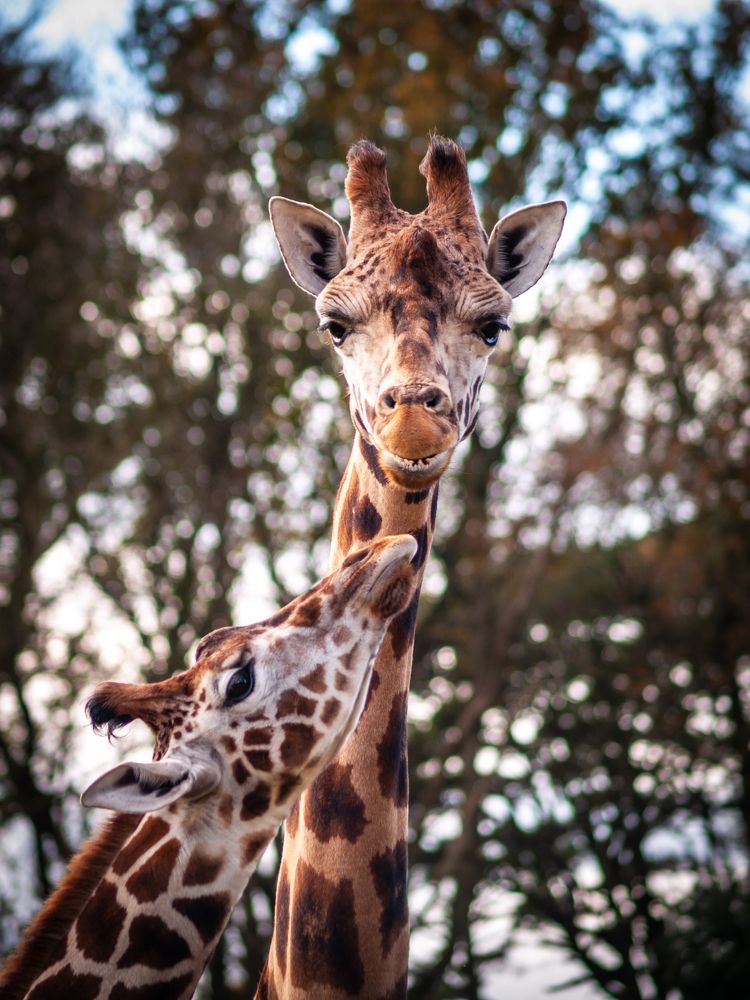 Photograph by Agita Leimane