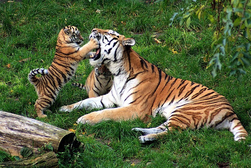 Photograph by Александр