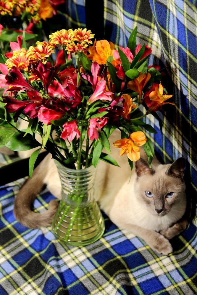 Photograph by Юрий Варюхин