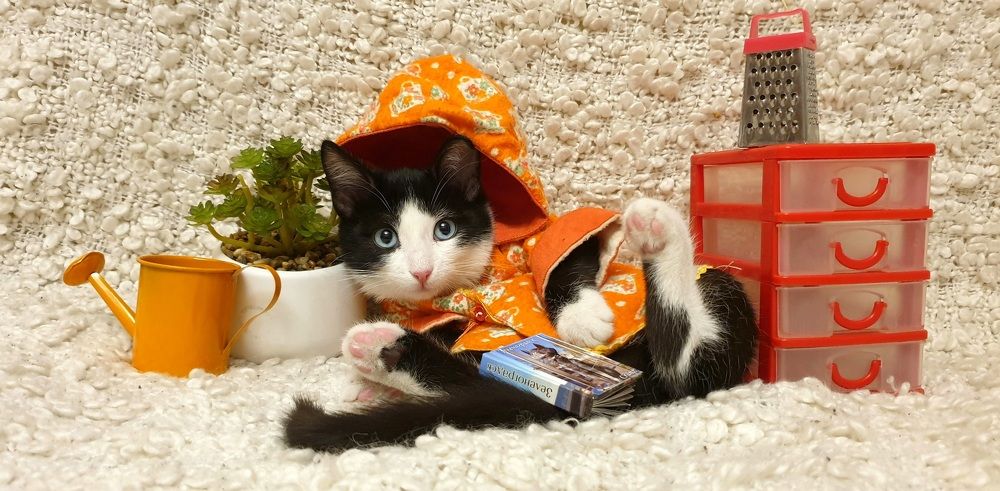 Photograph by Алина