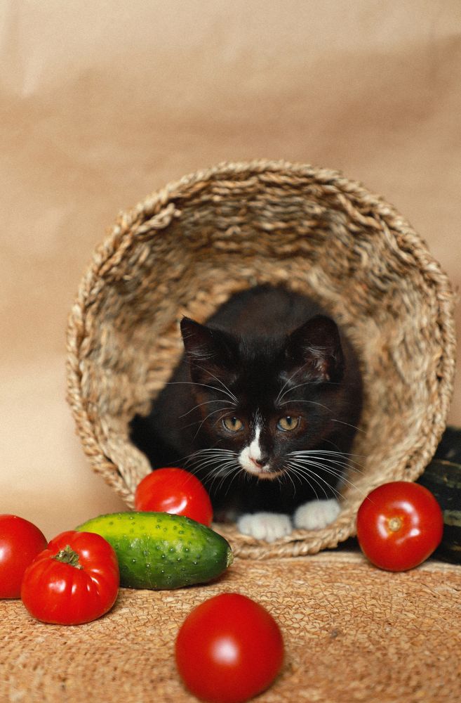 Photograph by Елена Сиднина