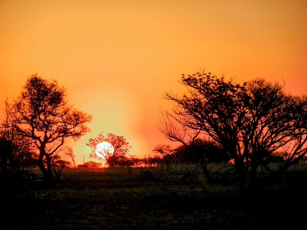 Photograph by Midge Engelbrecht