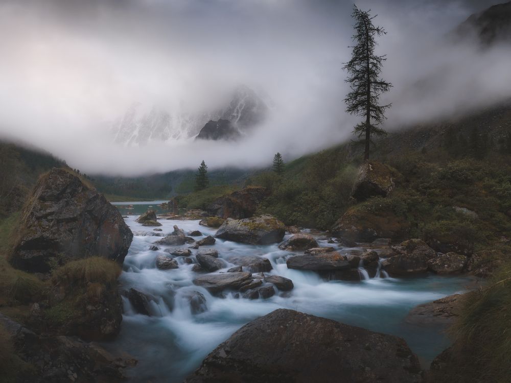 Туманное утро