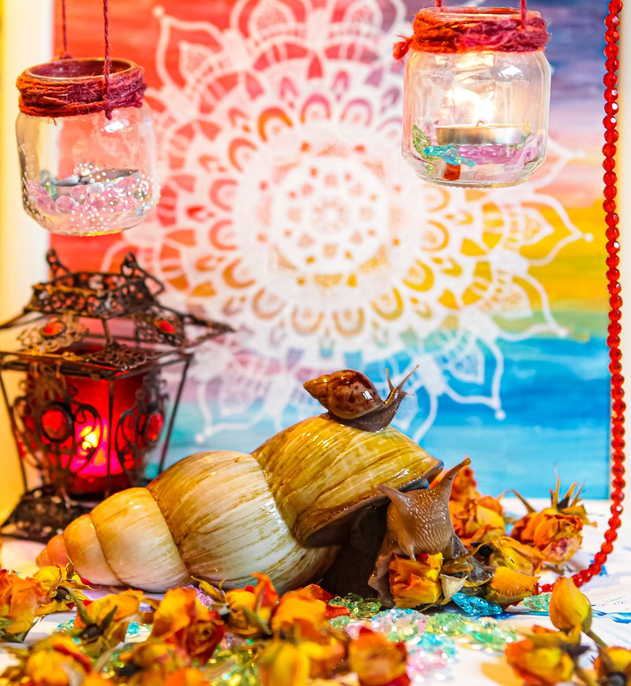 Photograph by Юлия Ляшенко