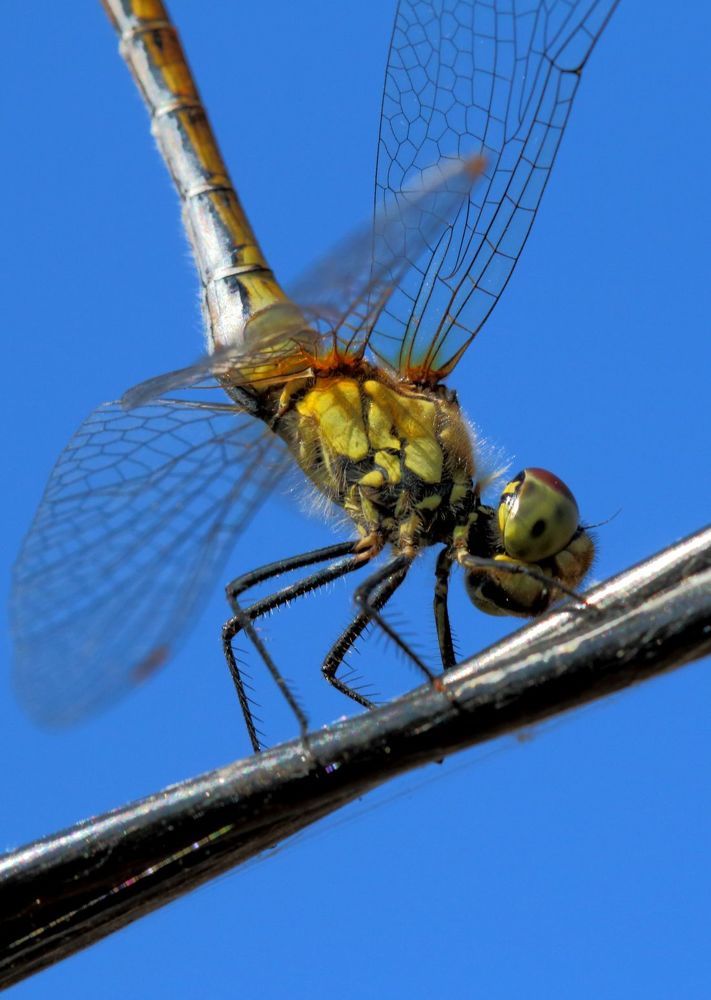 Photograph by Юрий Варюхин