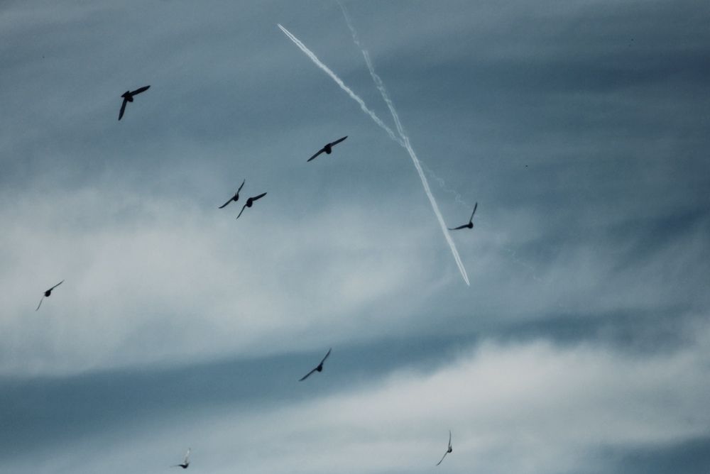 Photograph by Natalya Царева