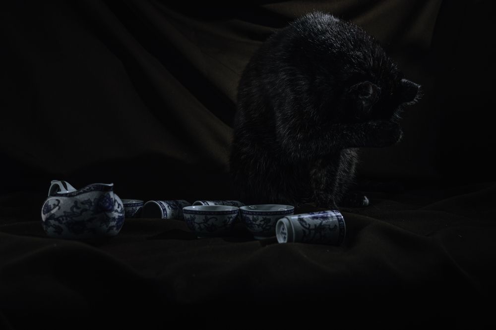 Photograph by Елена Леонидовна