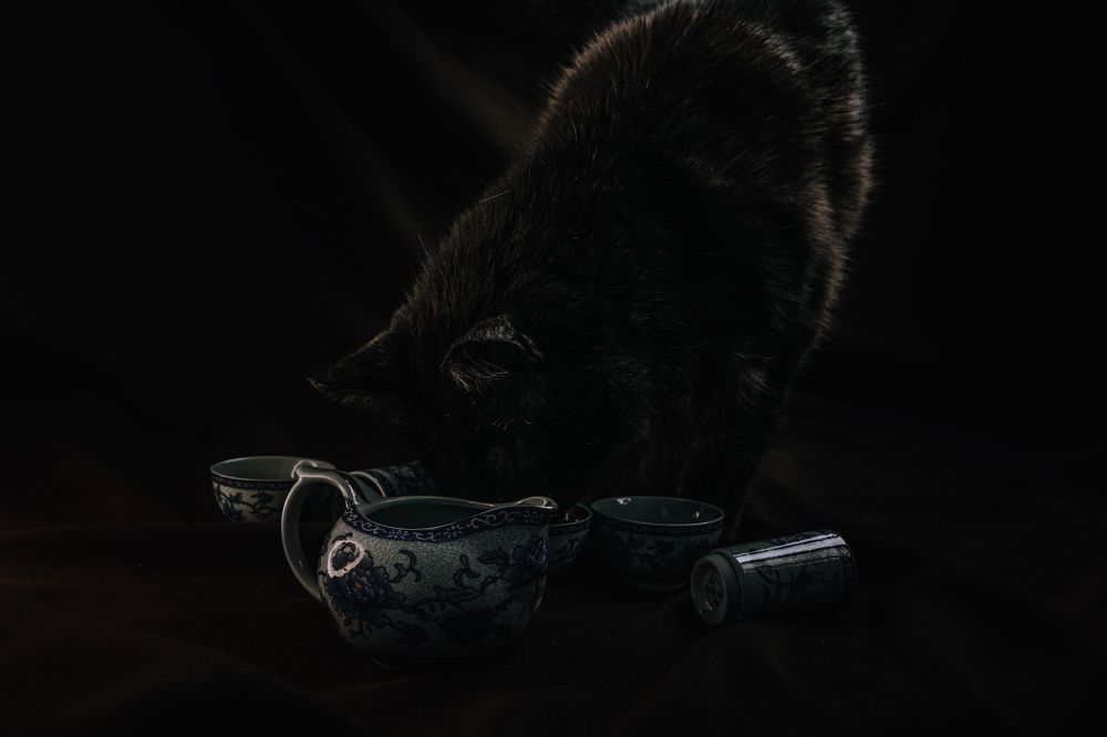 Photograph by Елена Леонидовна