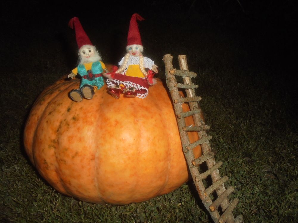 Ночная сказка.