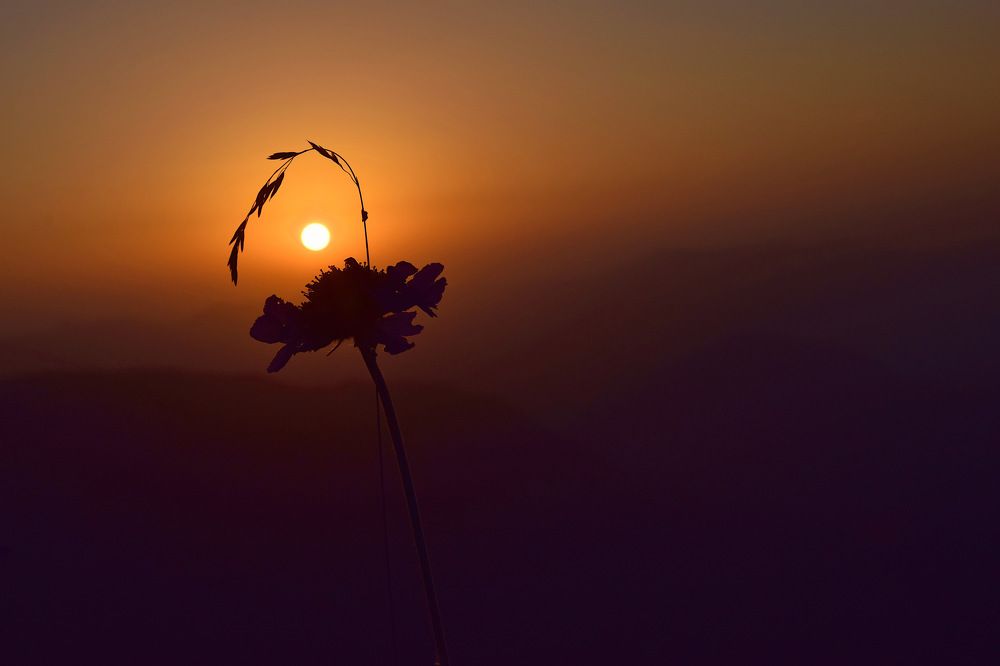 Photograph by Margo Margo