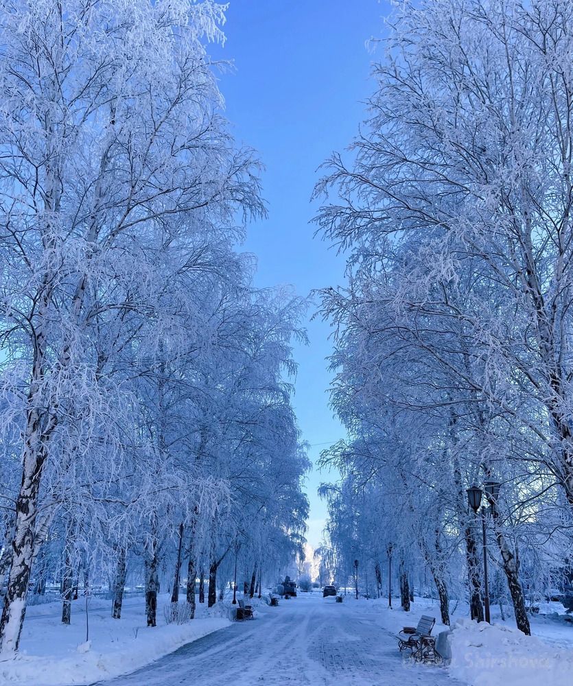 Photograph by Диана Ширшова
