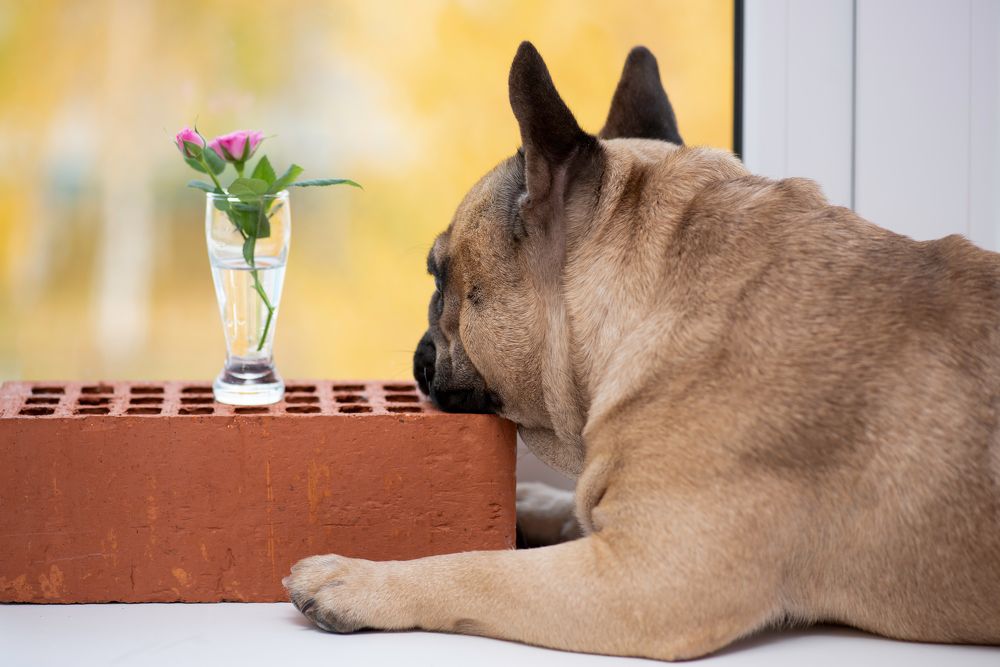 Photograph by Кадырова Марина