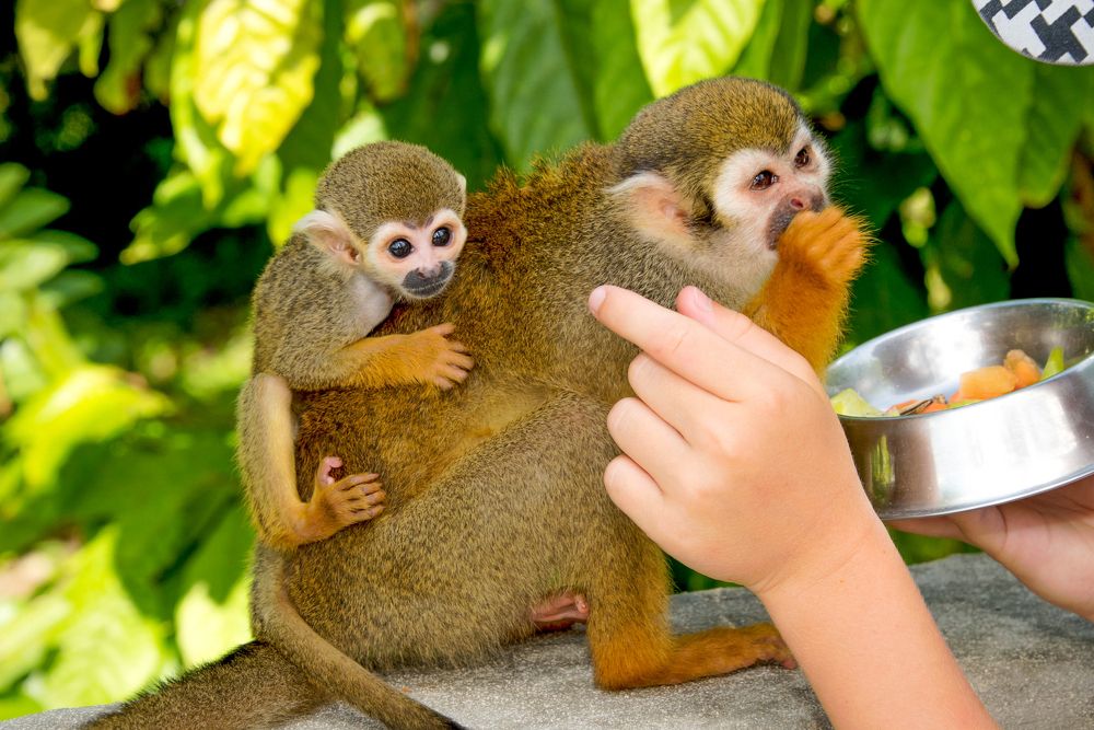 Photograph by Кадырова Марина