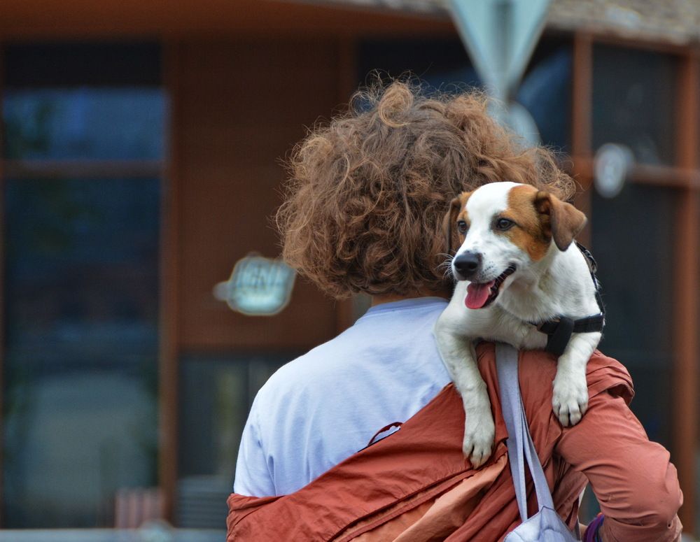 На прогулке