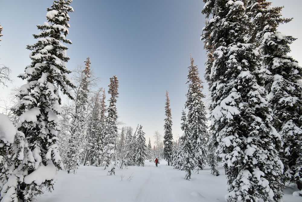 Photograph by Кадырова Марина