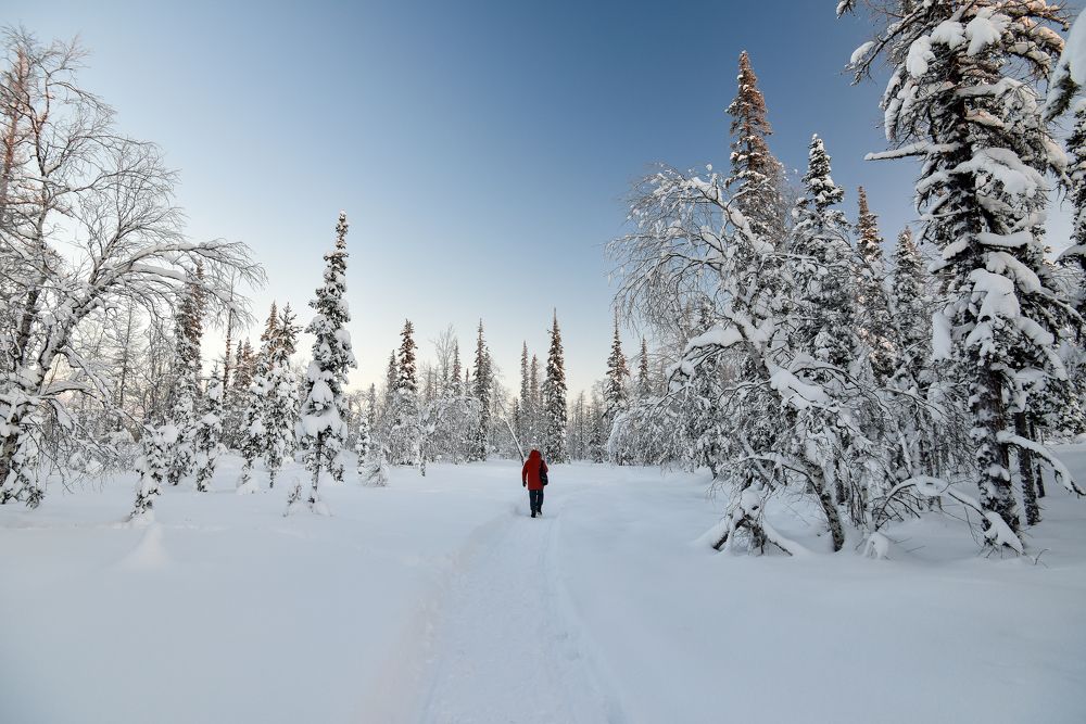 Photograph by Кадырова Марина
