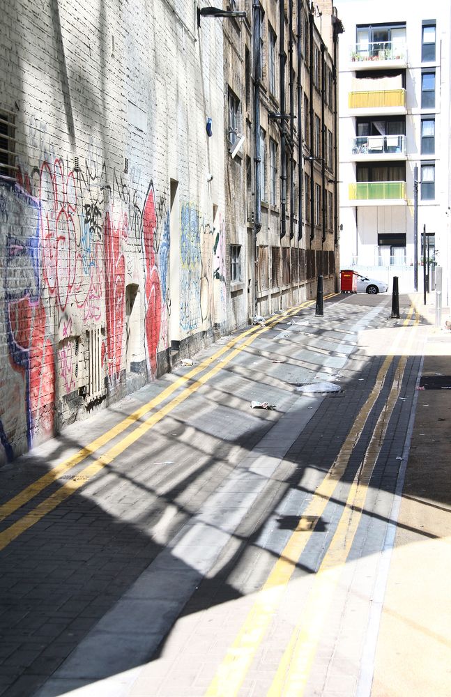 Фотография автора Елена Лаврова