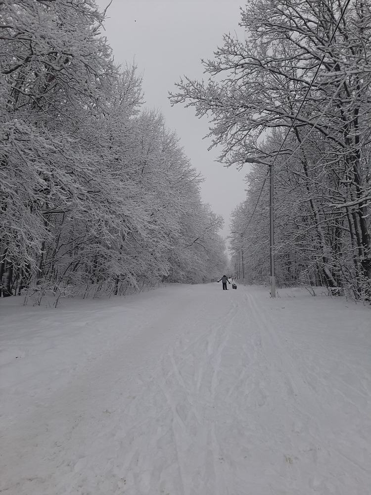 Photograph by Курчина Вероника