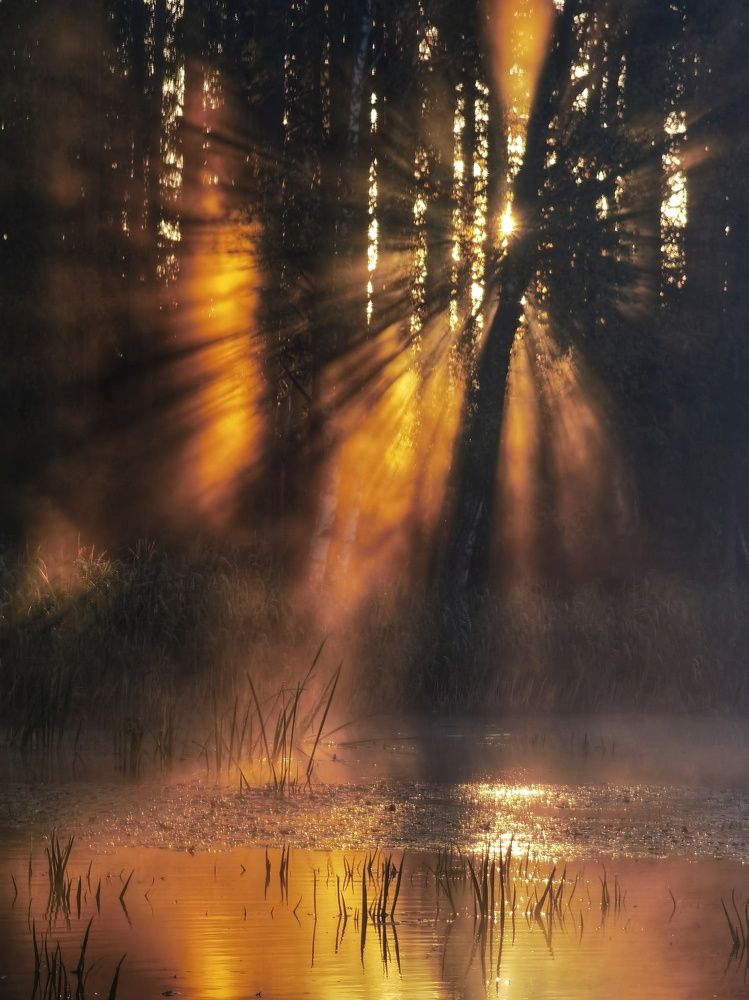 Photograph by Ирина Хмельщикова