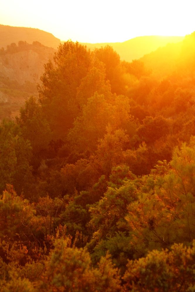 Фотография автора Kateryna