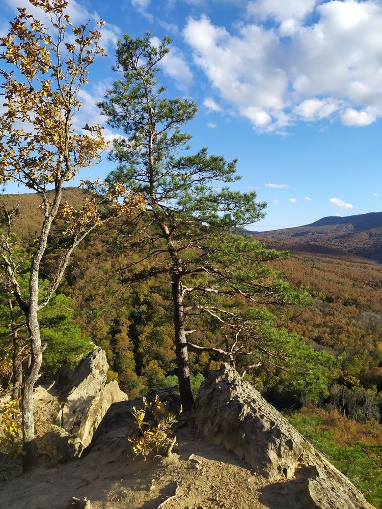 Photograph by Владимир Вялков