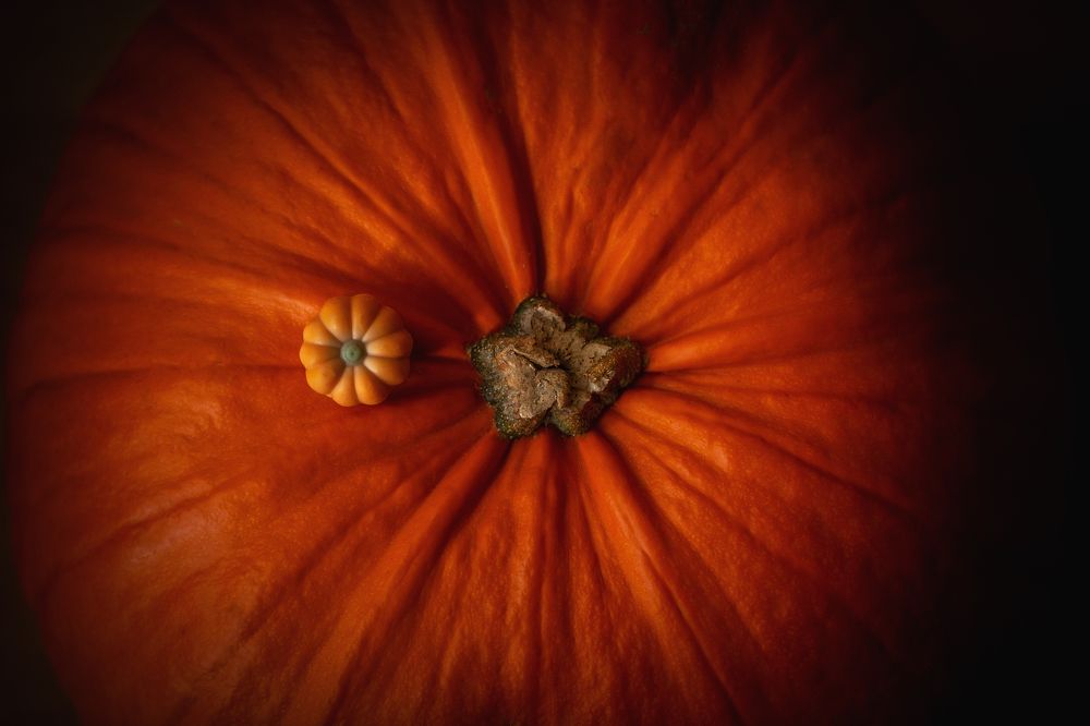 Фотография автора Оксана Мерзликина